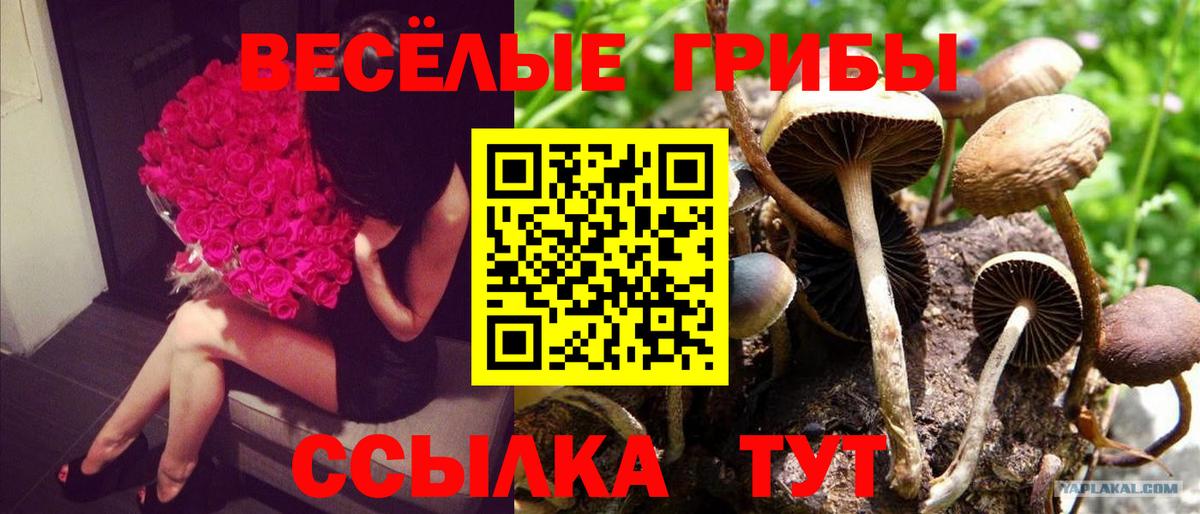 Ставрополь  цены   Вход с VPN  Галлюциногенные грибы ЛСД 